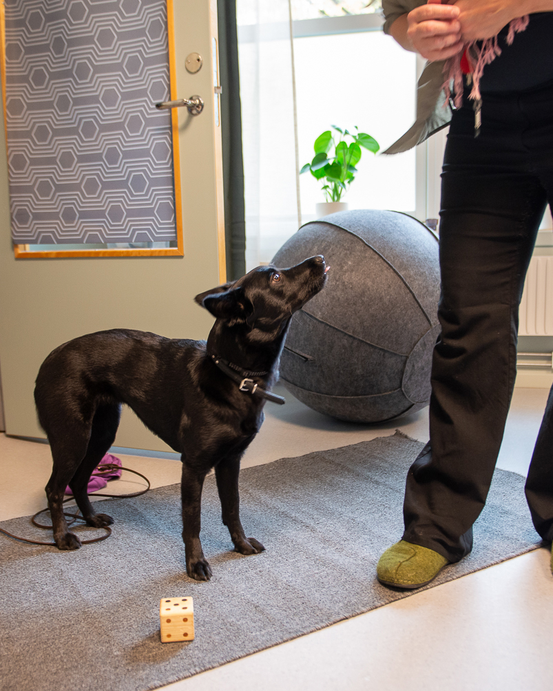 Invigning Tingsvägen5 0029B